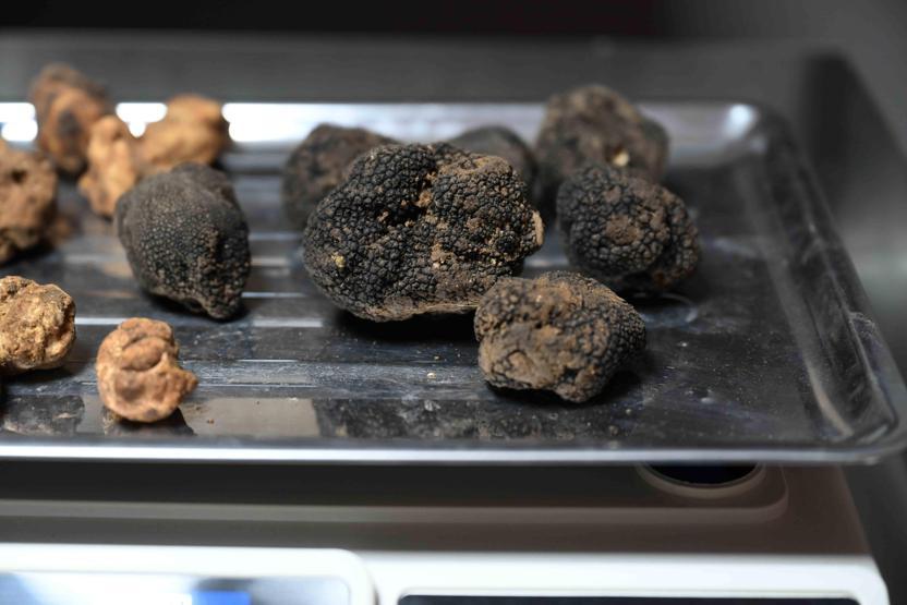 Türkiye’de keşfetti, Avrupa’ya satıyor Kilogramı 350 euro...