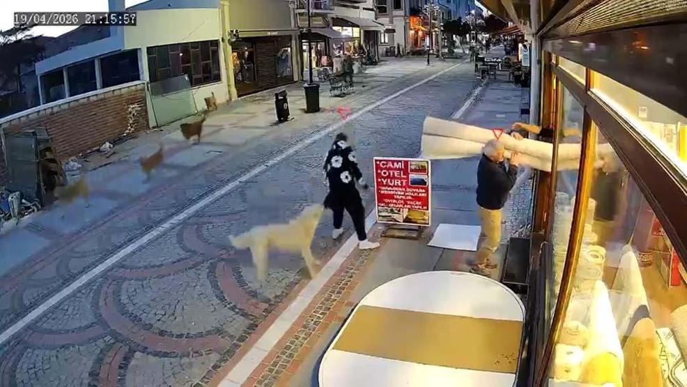Sokak köpeğinin saldırısı kamerada
