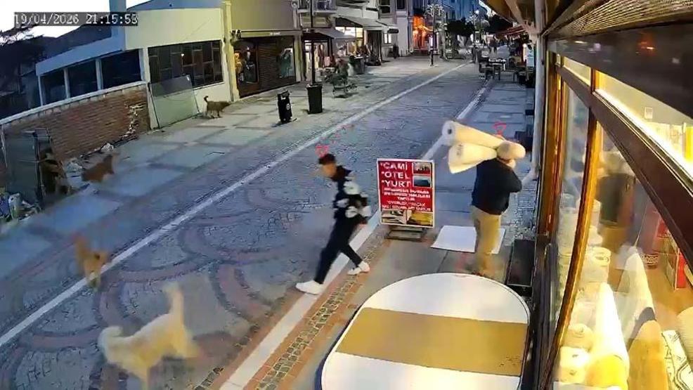 Sokak köpeğinin saldırısı kamerada
