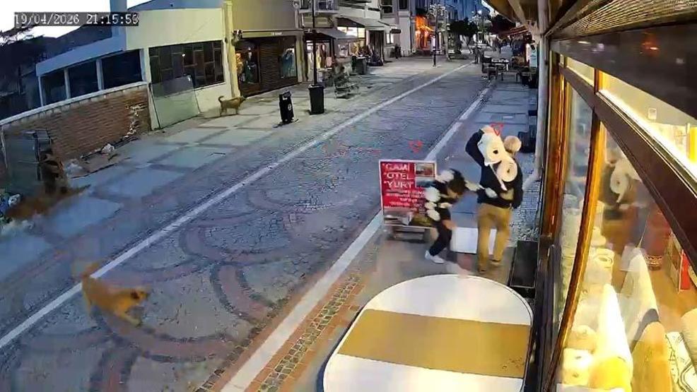 Sokak köpeğinin saldırısı kamerada