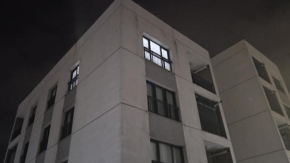 İstanbuldaki bir sitede kedi katliamı iddiası