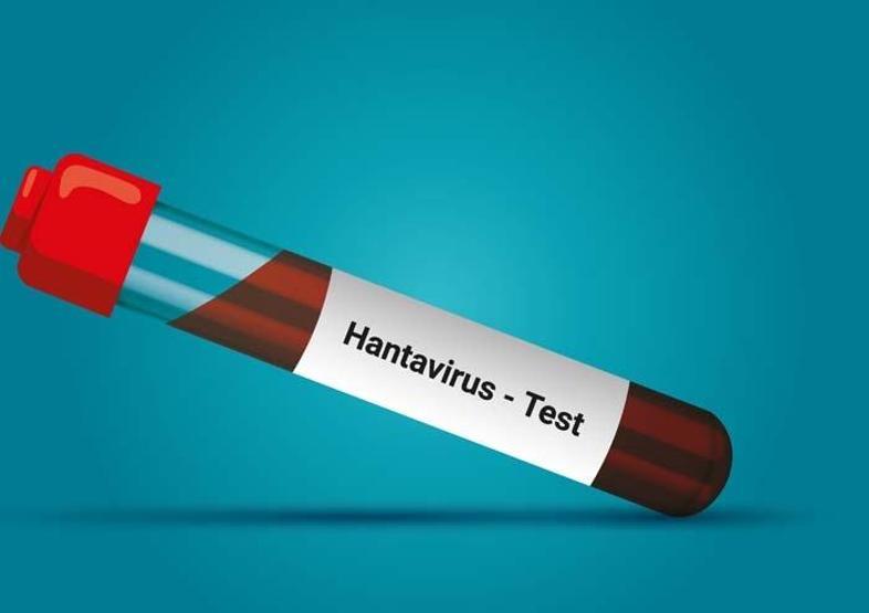 7 Vaka, 3 Ölüm: Kemirgen Kaynaklı Hantavirüs, Krize Yol Açtı: DSÖ Küresel Riskin Düşük Olduğunu Açıkladı