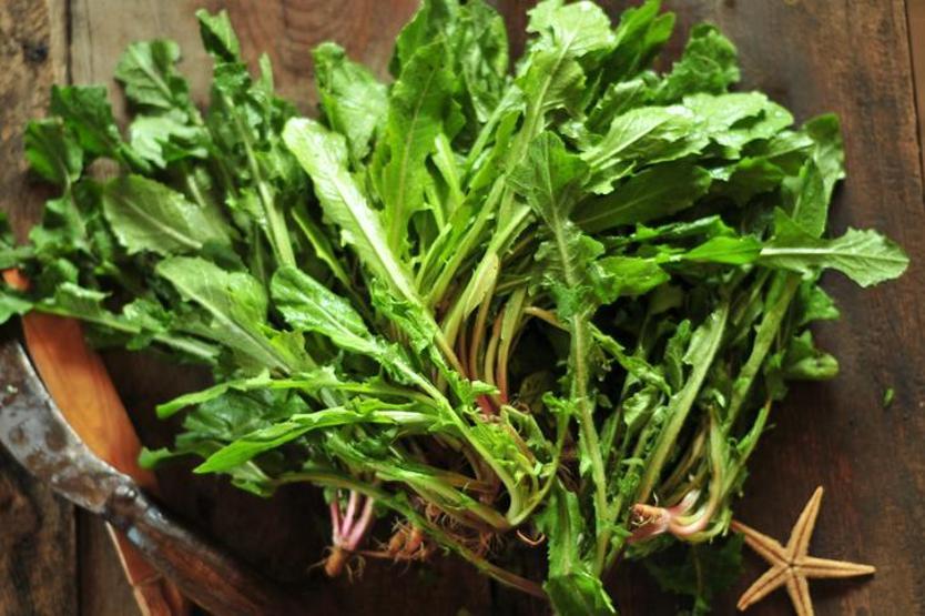 Dünyanın en sağlıklı 30 süper besini Zirvedeki lezzet şaşırttı İçinde yok yok: Magnezyum, demir, B2, B3 ve E vitamini...