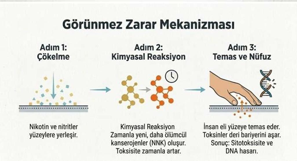Kanser Riskini 10 Kat Artırıyor 15 ile 24 Yaş Arasında 12 Bin Genç İncelendi: Mobilya ve Kıyafete Sinen Sigara Dumanı DNA’yı Bozuyor, Kanseri Tetikliyor