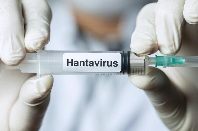 HANTAVİRÜS NASIL YAYILIR, NASIL BULAŞIR, İNSANDAN İNSANA BULAŞIR MI Hantavirüs tedavisi var mı Hantavirüs ilk belirtileri