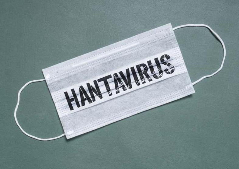 Adan Zye Hantavirüs Hantavirüs Nasıl Bulaşır Kimler Risk Altında Hantavirüs Belirtileri ve Korunma Yöntemleri İle İlgili Tüm Merak Edilenler