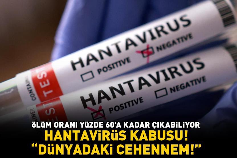 HANTAVİRÜS KABUSU Ölüm oranı yüzde 60a kadar çıkabiliyor Hastalıkla savaşanlar noktayı koydu: Dünyadaki cehennem