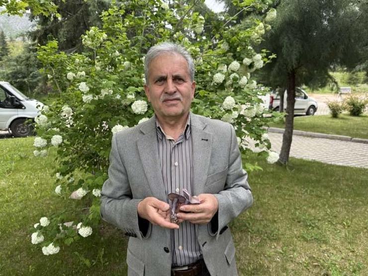 Mavi Cincile ile Karıştırılan Örümcek Mantarına Dikkat Doğada Mantar Mesaisi: Bahar Geldi, Risk Arttı