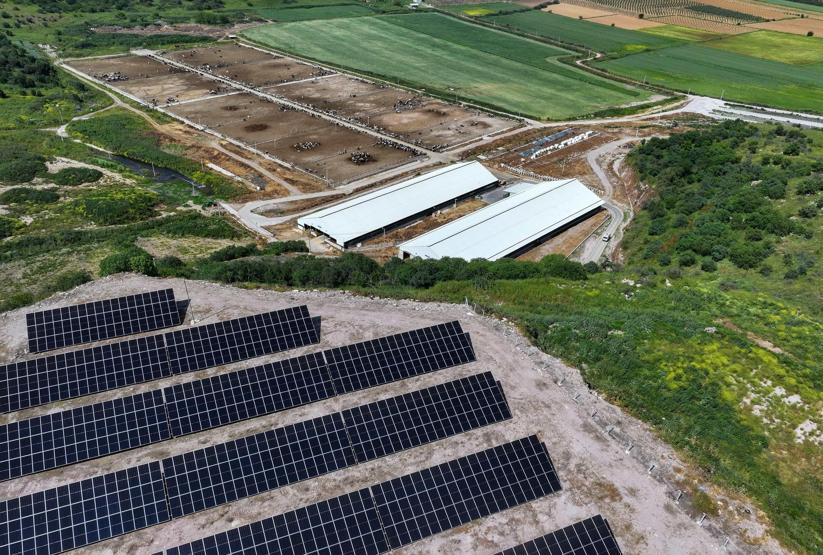 500 TANE İLE BAŞLADI 4 BİN 500E ULAŞTI
