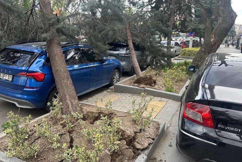 Ankarada şiddetli rüzgar Ağaçlar devrildi, araçlar zarar gördü