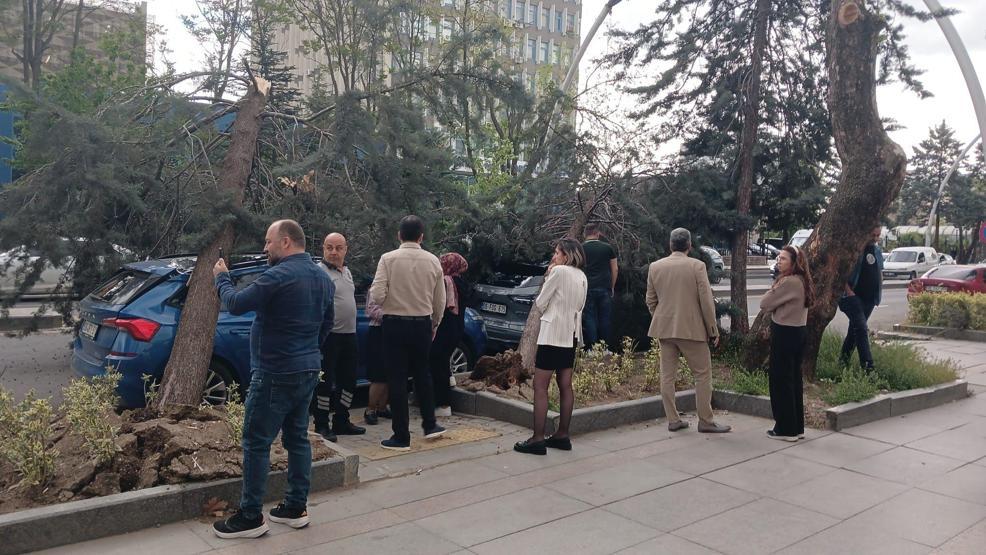 Ankarada şiddetli rüzgar Ağaçlar devrildi, araçlar zarar gördü