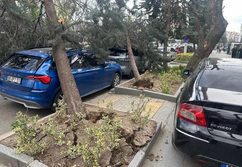 Ankarada şiddetli rüzgar Ağaçlar devrildi, araçlar zarar gördü