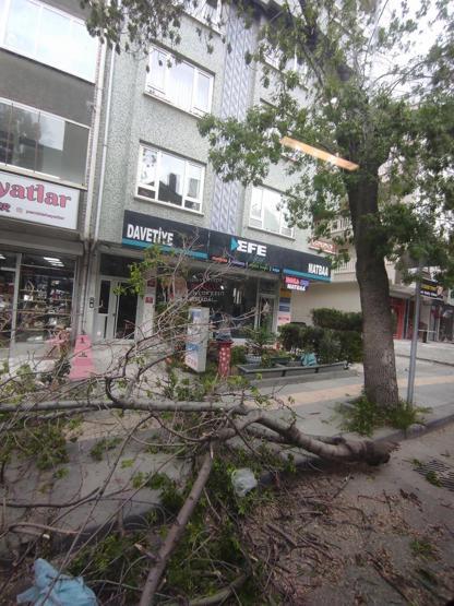 Ankarada şiddetli rüzgar Ağaçlar devrildi, araçlar zarar gördü