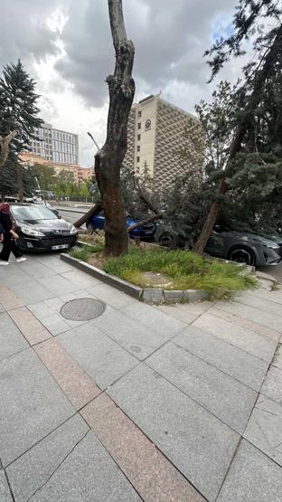 Ankarada şiddetli rüzgar Ağaçlar devrildi, araçlar zarar gördü