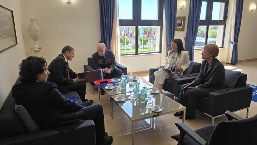 Romada Değişen Güvenlik Ortamında NATO ve Türkiye: Uyum, İşbirliği ve Gelecek Perspektifleri paneli