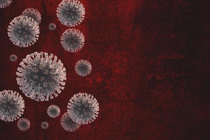 Ebola virüsü nedir, ölümcül mü Ebola virüsünün belirtileri neler