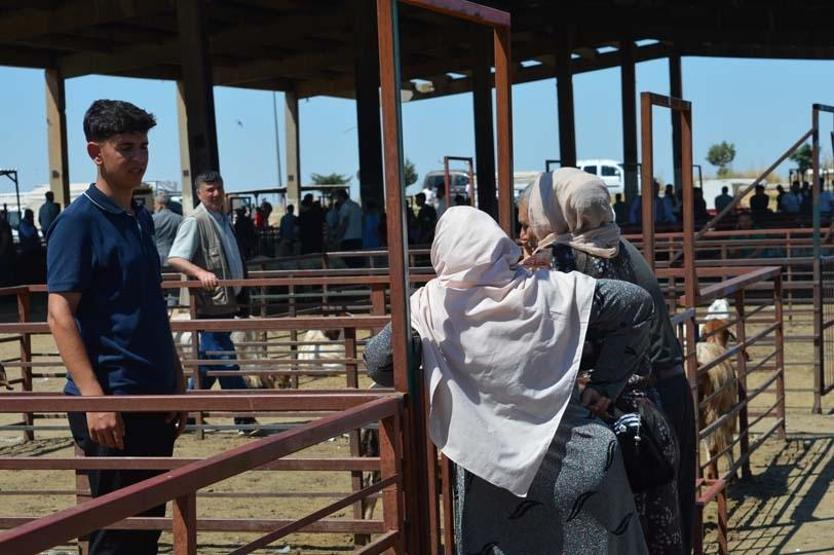 Kurban pazarlarında ilk gün yoğunluğu