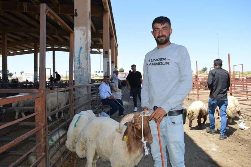 Kurban pazarlarında ilk gün yoğunluğu