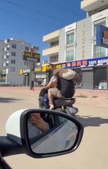 Kurban pazarlarında ilk gün yoğunluğu