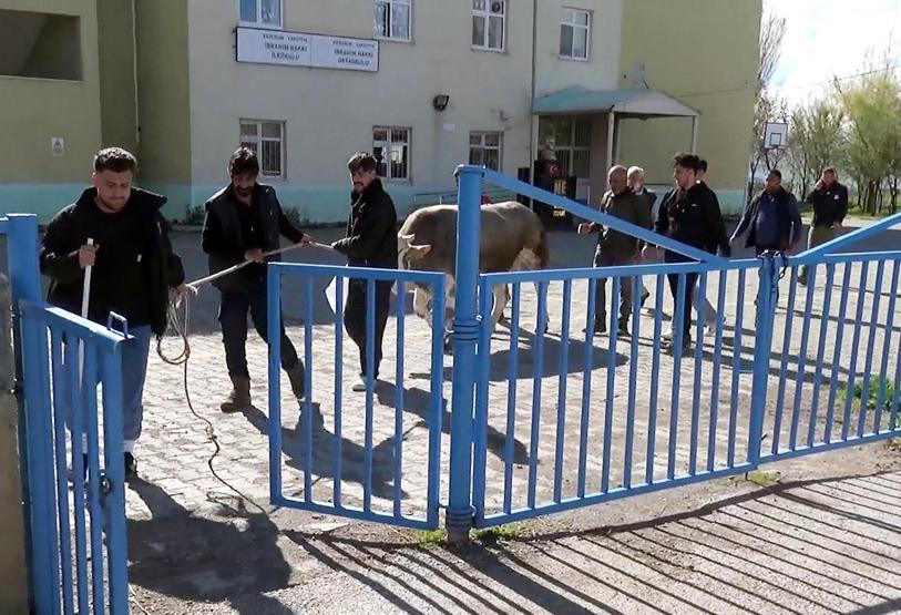 Kurban pazarlarında ilk gün yoğunluğu
