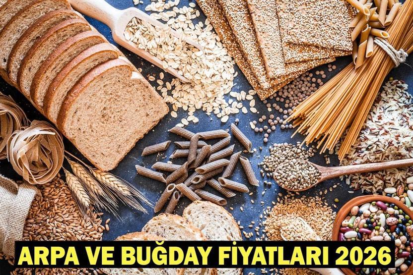 HUBUBAT ARPA VE BUĞDAY FİYATLARI 2026 | Arpa ve buğday alım fiyatları açıklandı mı, ne zaman açıklanacak Buğday fiyatları 2026 için gözler TMO’da