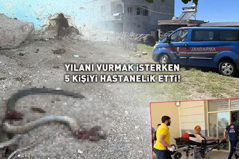 YILAN HİKAYESİ Anlık panik faciaya yol açtı: Yaralılar var