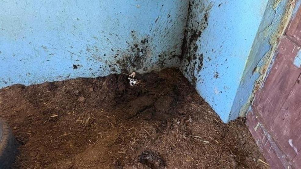 YILAN HİKAYESİ Anlık panik faciaya yol açtı: Yaralılar var