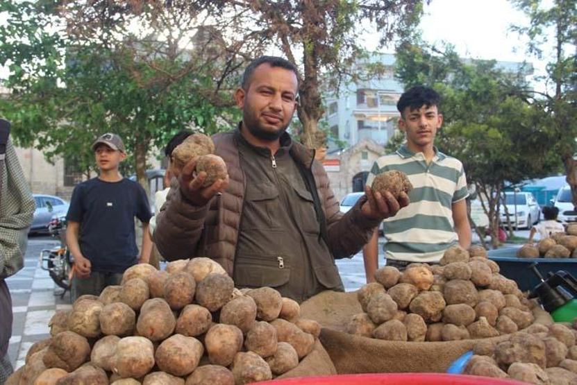 Şanlıurfanın Vazgeçilmez Lezzeti: Keme Kebabı Birçok İle Gönderiliyor: Taleplere Yetişemiyoruz