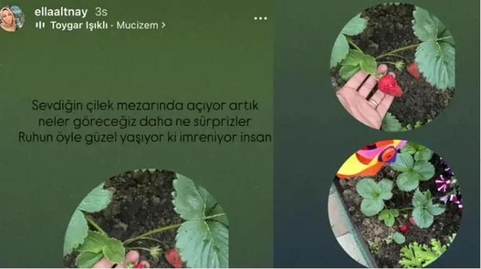 İbrahim Yıldız’ın Ablasından Duygusal Anma: “Sevdiğin Çilek Mezarda Açıyor”