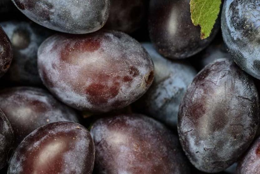 KENDİ KÜÇÜK ETKİSİ BÜYÜK Beyin Sağlığından Bağışıklığa: Kiraz, Yaban Mersini, Karpuz... Hangi Meyve Ne İşe Yarıyor Yaz Meyvelerinin Vücuda Etkisi Şaşırtıyor