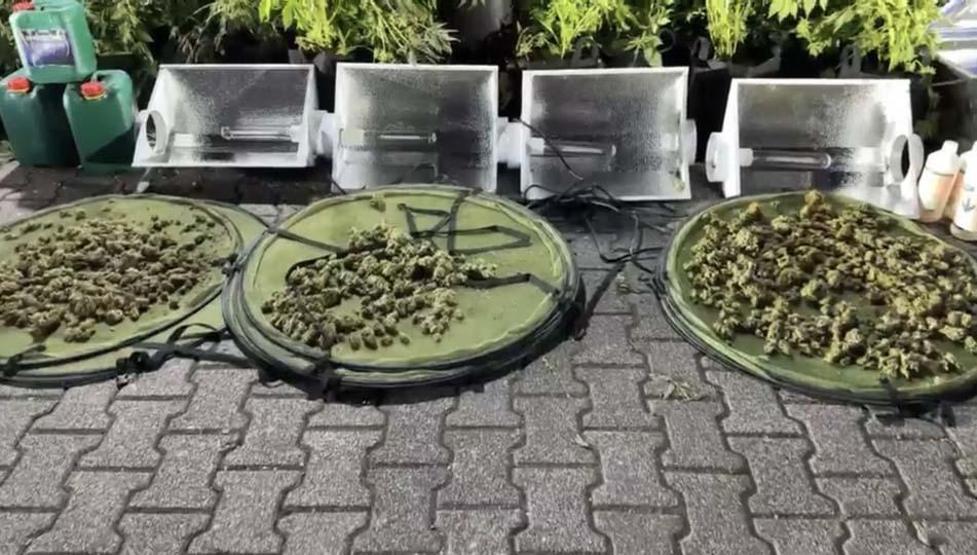 Kağıthanede koku gelen eve operasyon: Evi zehir yuvasına çevirmişler