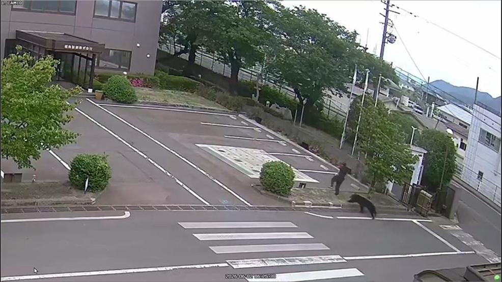 Tokyo kapılarına dayandı ‘Ayı’ alarmı sonrası 100 okulda eğitime ara verildi…