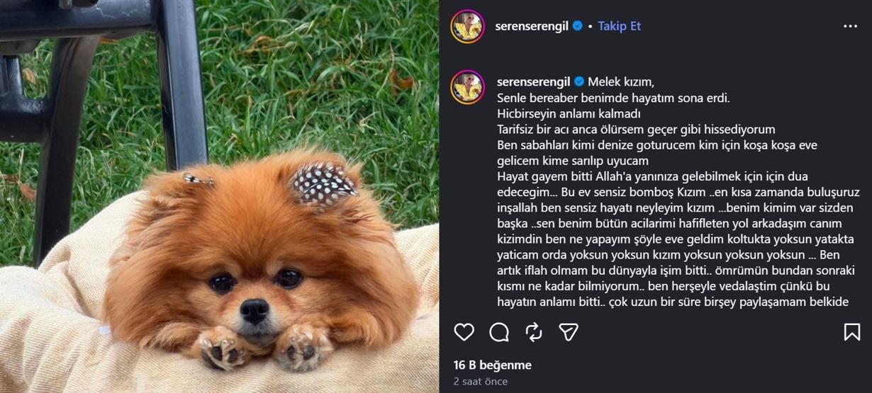 Seren Serengili yıkan ölüm ‘Allaha yanınıza gelebilmek için dua edeceğim