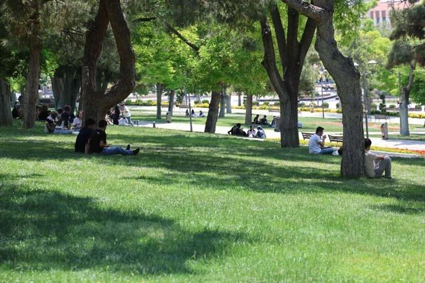 Uzmanlardan Kırım Kongo Kanamalı Ateşi Ölüme Kadar Götürebiliyor Uyarısı