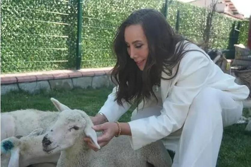 Asena İstanbul’u Terk Etti, Yeni Hayatıyla Koyun ve Kuzuların Arasında