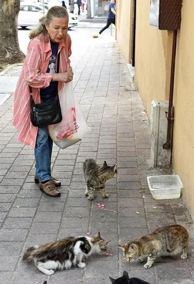 PANTER EMEL LAKAPLI EMEL YILDIZ HAYATINI KAYBETTİ Tuna Arman acı haberi duyurdu İşte cenaze bilgileri...