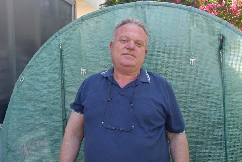 Erkek sandıkları kedileri doğum yaptı: 6 milyonda 1 görülen vaka