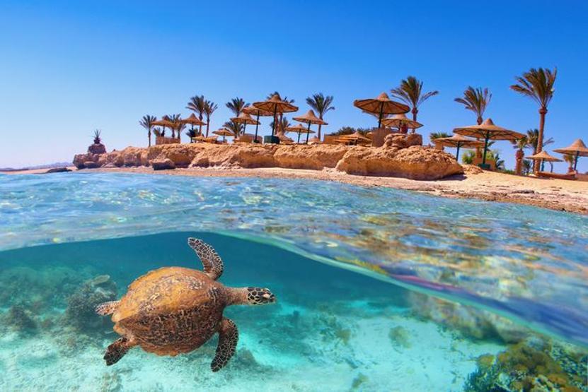 Türklerin yeni gözdesi Sharm el Sheikhte gezilecek 5 yer Kızıldenizin kıyısında vizesiz yaz tatili: 6 gün yetiyor