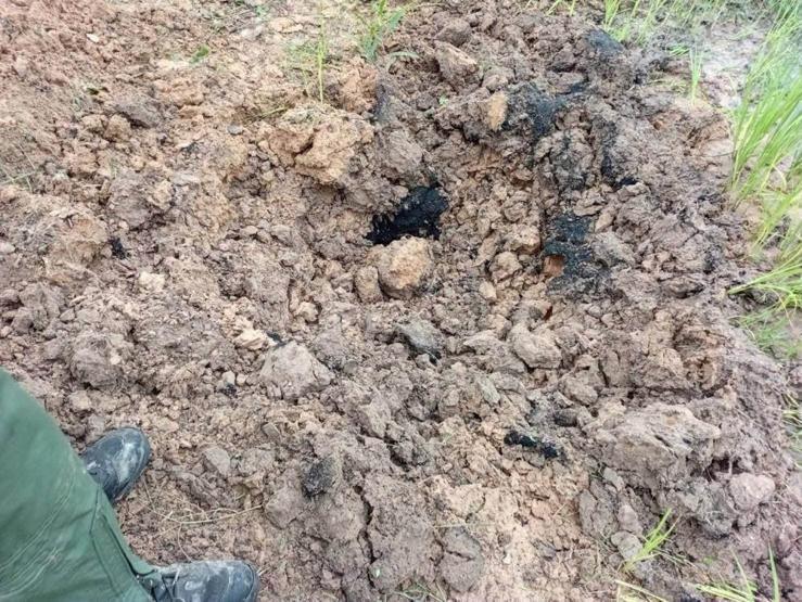 FACİAYA RAMAK KALDI Büyükanne Kemik Sandı, Gerçek Ortaya Çıkınca Polis Çağrıldı