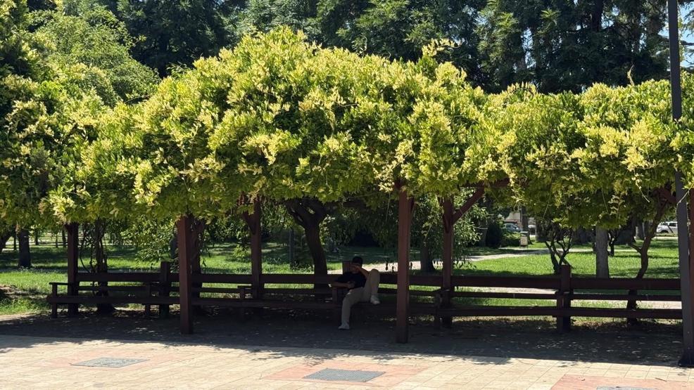 Adana sıcak hava nefes almıyor Termometreler 42 dereceyi gösterdi