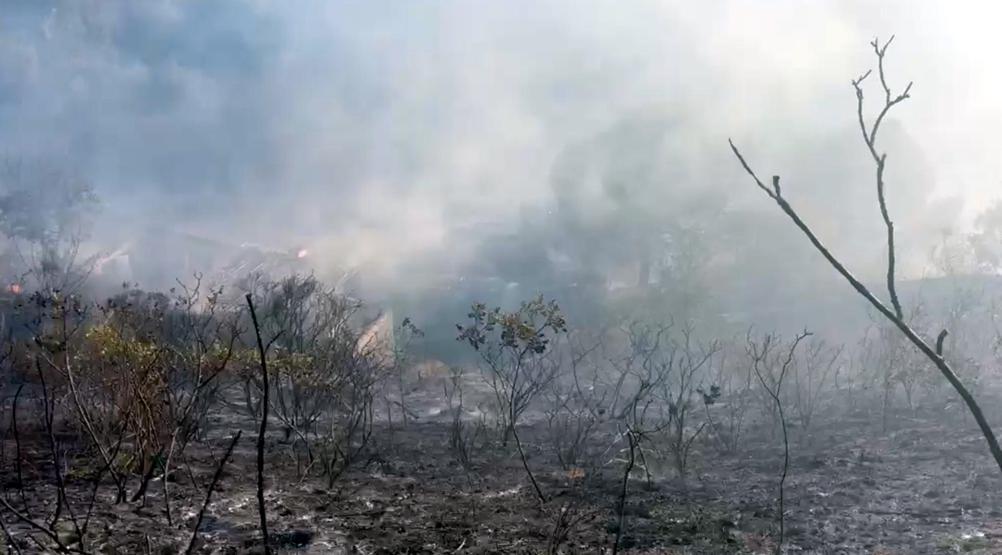 Tekirdağda yangında 80 dönüm arazi zarar gördü