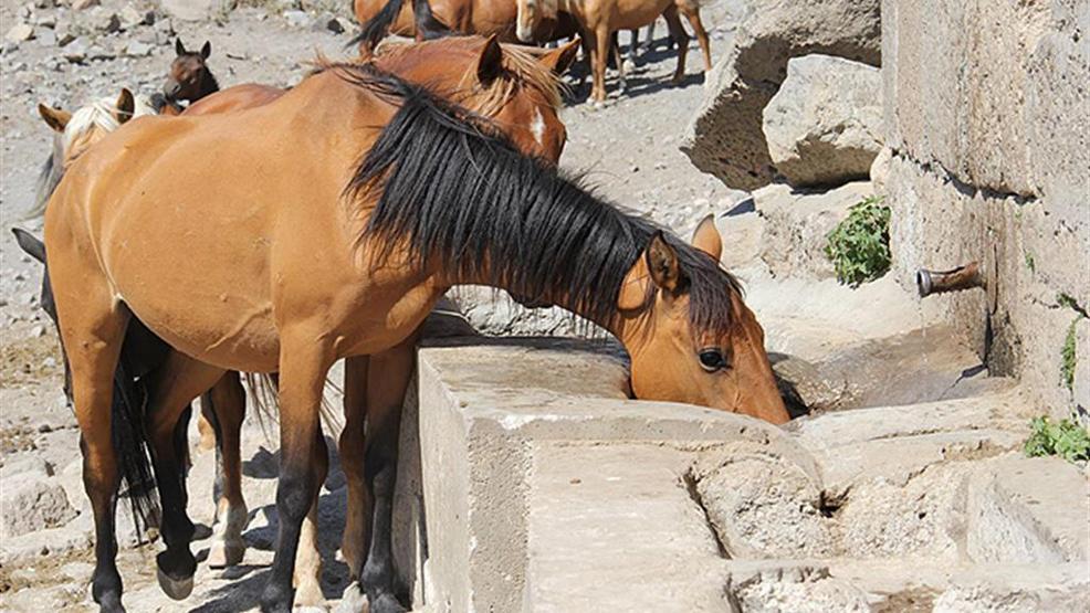 İçme ve kullanım suyu alarmı
