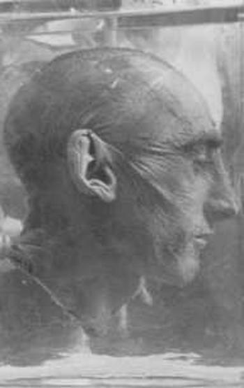 Tüyler ürpertici Nazi deneyleri