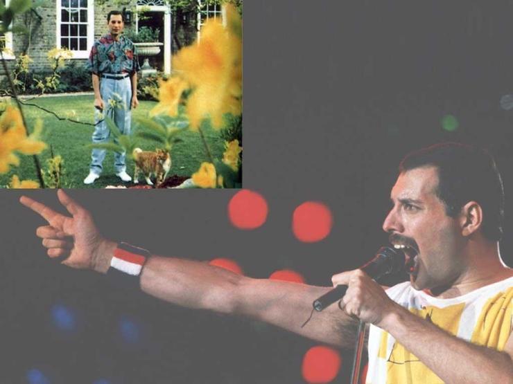 Efsane isimlerin ölmeden önceki son fotoğrafları