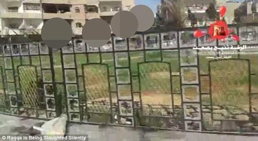 İnsanlığın öldüğü şehir: Rakka