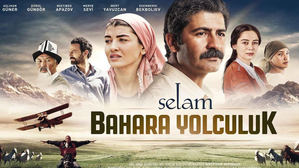 2015in en çok izlenen filmleri
