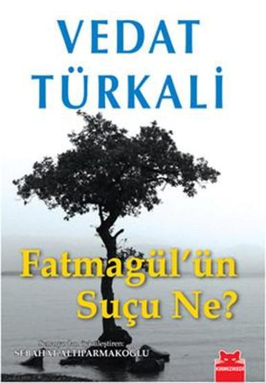 Vedat Türkalinin kitapları