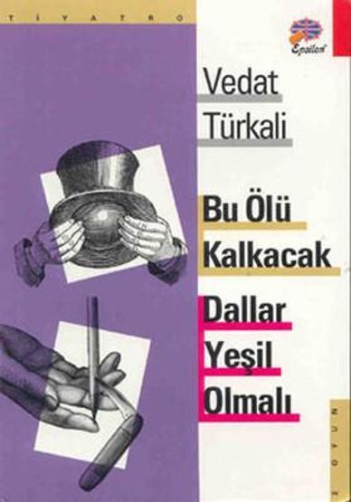 Vedat Türkalinin kitapları