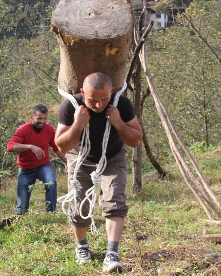 203 kiloluk kütüğü sırtında taşıdı