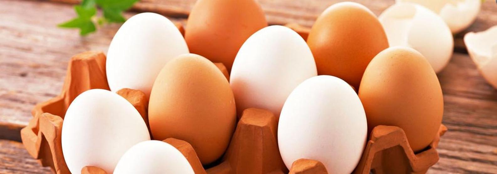 Yumurta satışında yeni dönem Bu numaralara dikkat